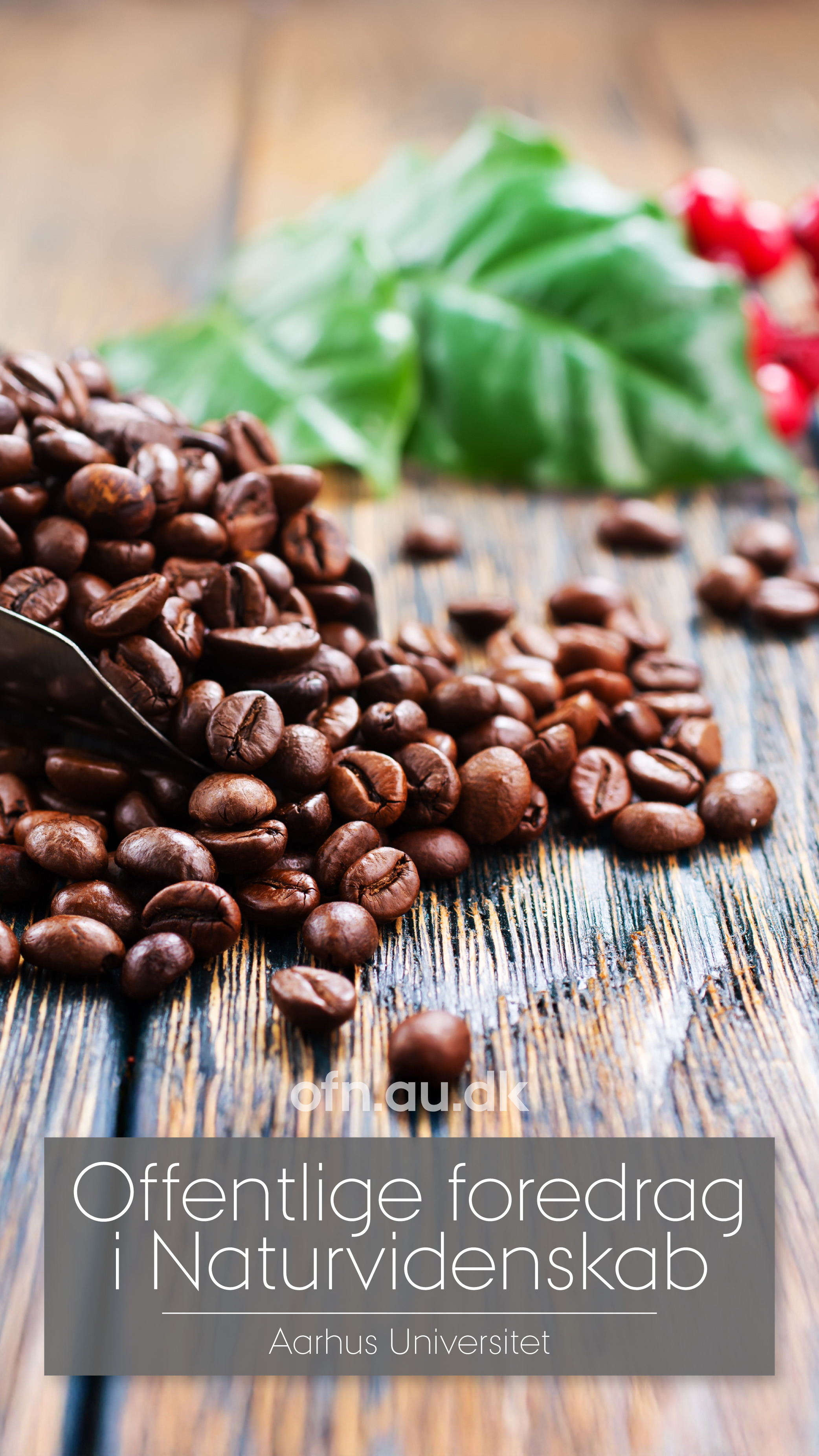 Streamet foredrag: Kaffe