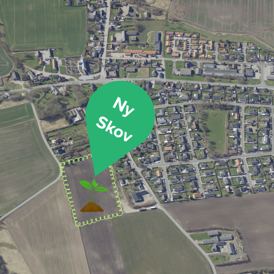 En grøn plet markerer hvor den nye skov plantes ved Voldum