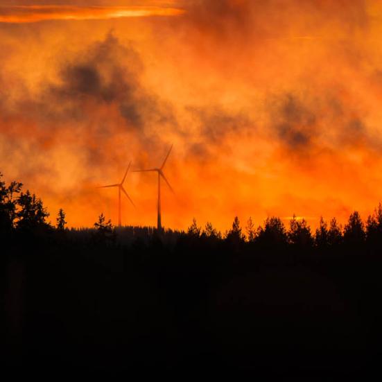 Billede af skovbrand