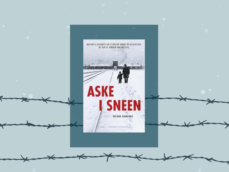 Bogens forside med illustrationer af pigtråd og snefald.